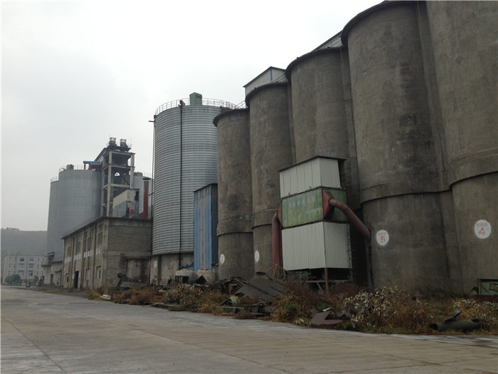 365�췢����(�й�)�ٷ���վ