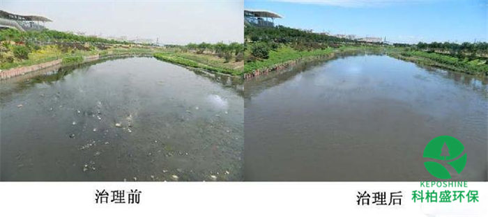 365�췢����(�й�)�ٷ���վ