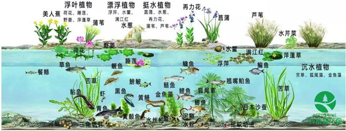 365�췢����(�й�)�ٷ���վ