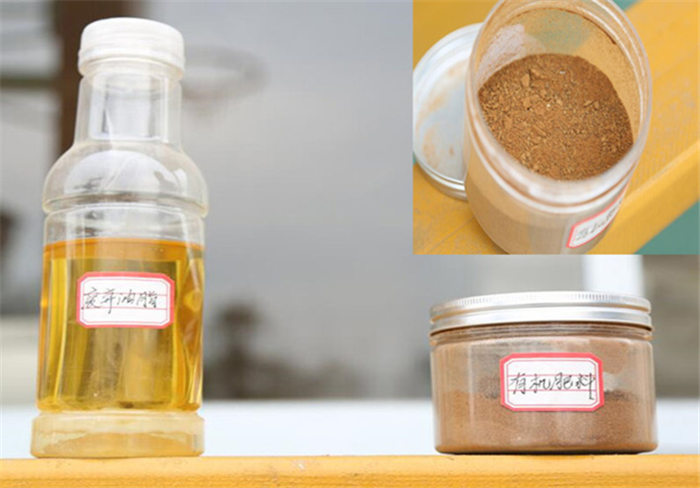 365�췢����(�й�)�ٷ���վ