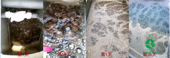 365�췢����(�й�)�ٷ���վ