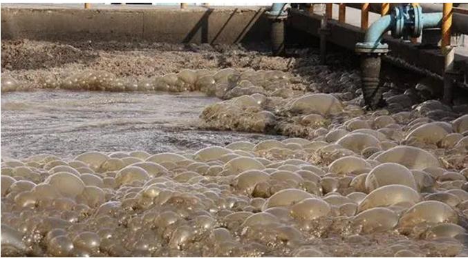 365�췢����(�й�)�ٷ���վ