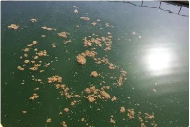 365�췢����(�й�)�ٷ���վ