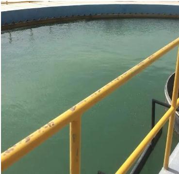 365�췢����(�й�)�ٷ���վ