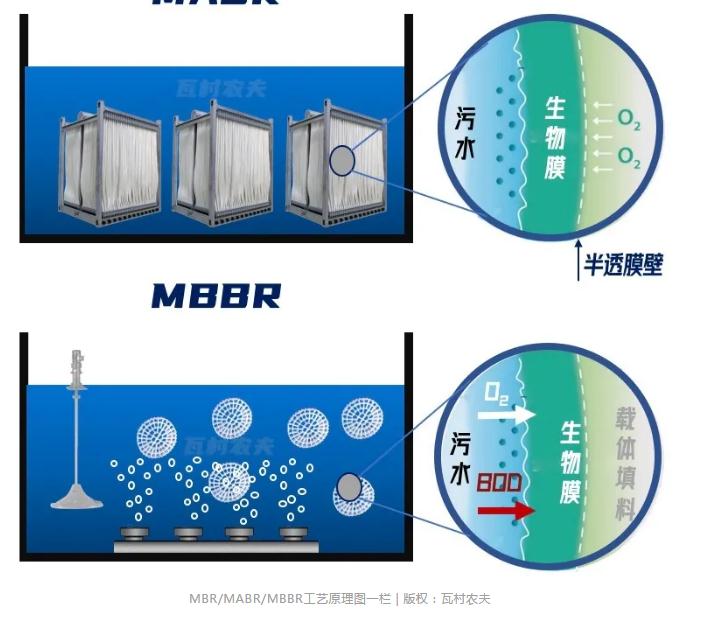 365�췢����(�й�)�ٷ���վ