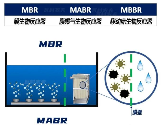 365�췢����(�й�)�ٷ���վ