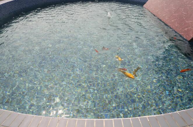 365�췢����(�й�)�ٷ���վ