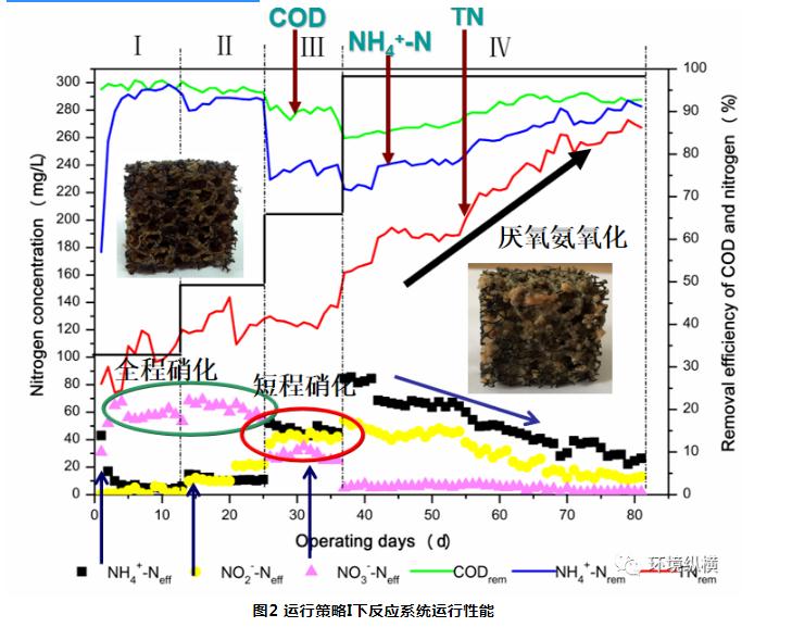 365�췢����(�й�)�ٷ���վ