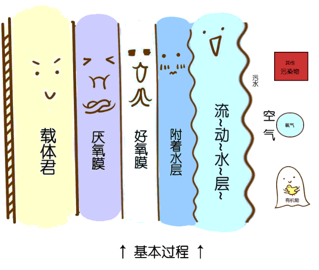 365�췢����(�й�)�ٷ���վ