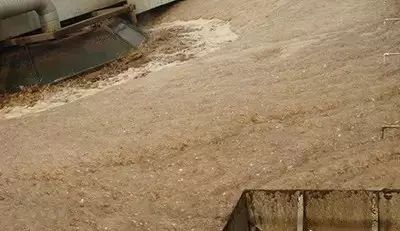 365�췢����(�й�)�ٷ���վ