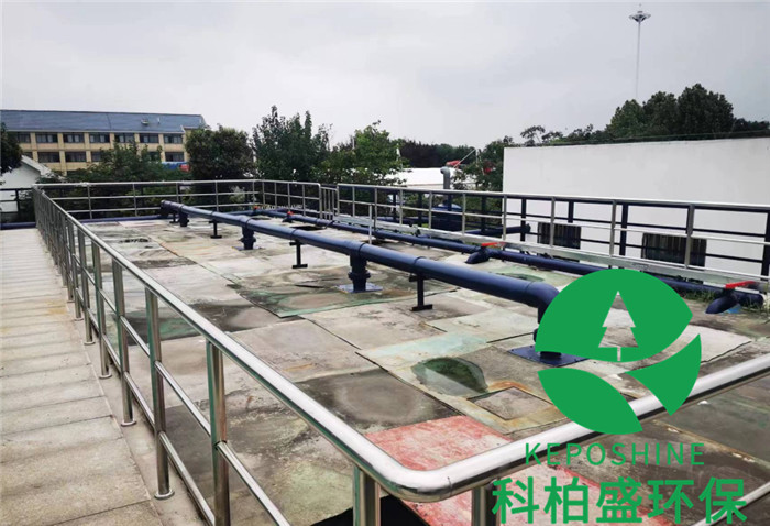 365�췢����(�й�)�ٷ���վ