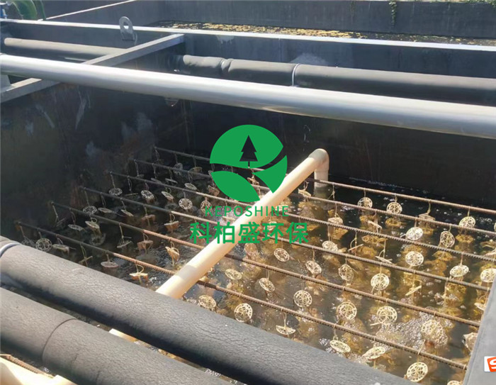 365�췢����(�й�)�ٷ���վ