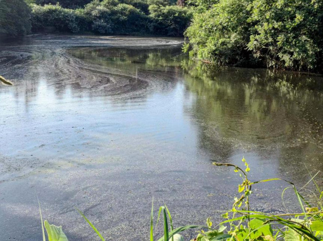 365�췢����(�й�)�ٷ���վ