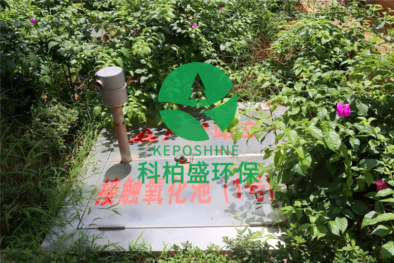 365�췢����(�й�)�ٷ���վ