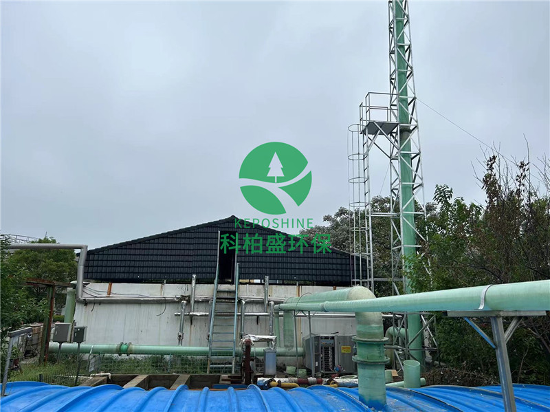 365�췢����(�й�)�ٷ���վ