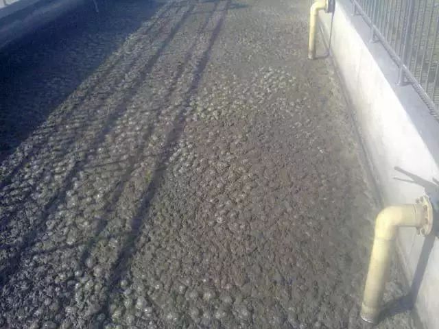 365�췢����(�й�)�ٷ���վ