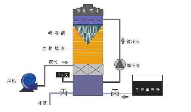 365�췢����(�й�)�ٷ���վ