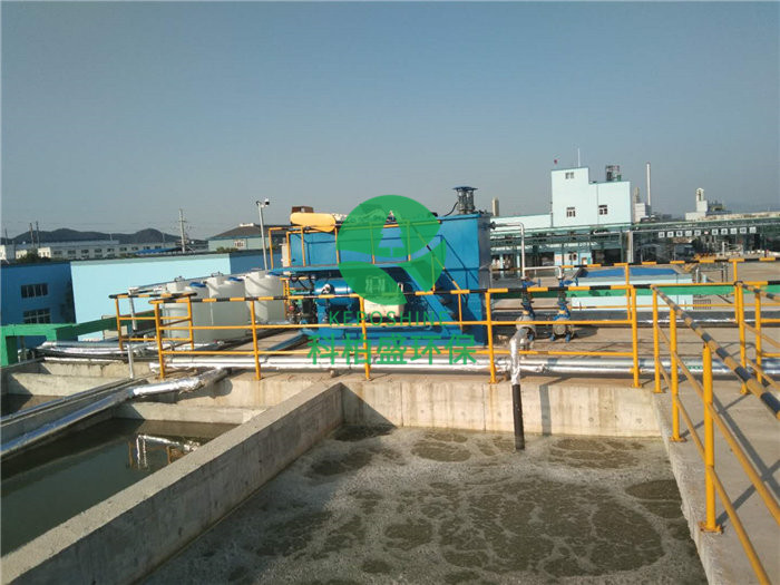 365�췢����(�й�)�ٷ���վ